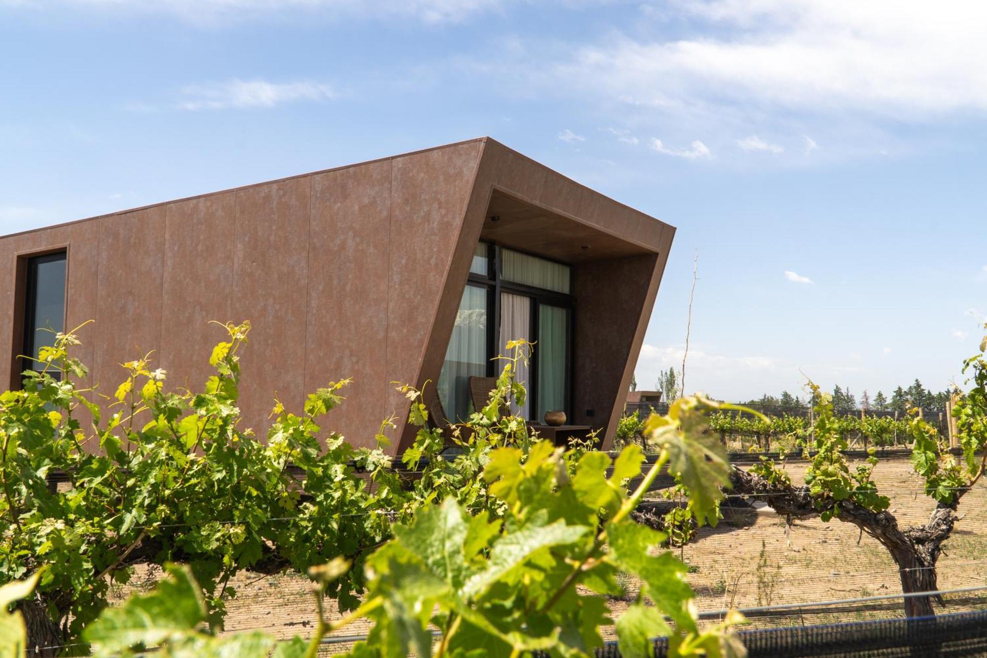 Andeluna Winery Lodge Tupungato Dış mekan fotoğraf